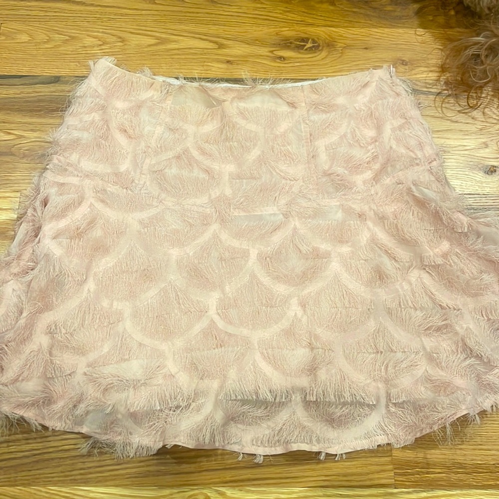 TCEC Skirt